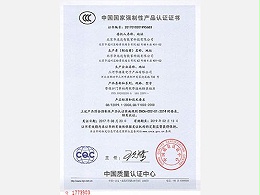 带保护门单相两极带接地暗装插座16A产品认证证书