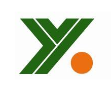 汽车电子客户案例